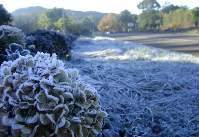 Imagem da noticia Cidades do sul devem amanhecer com geada e temperaturas negativas