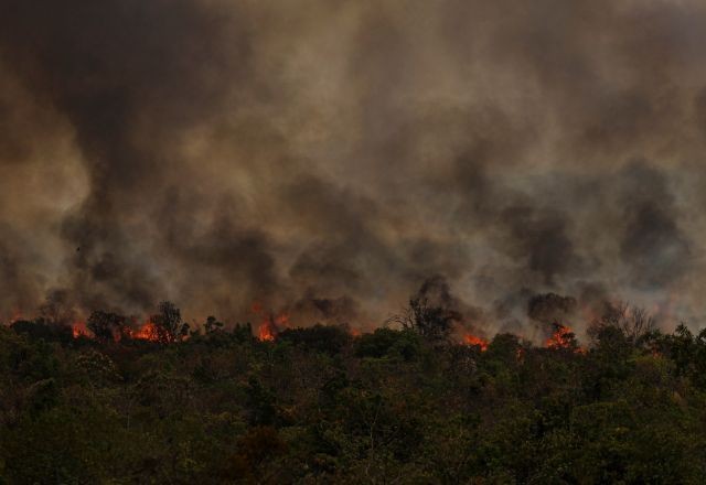 Imagem da noticia 'Estamos muito atrasados no combate às mudanças climáticas', alerta presidente do CNPq