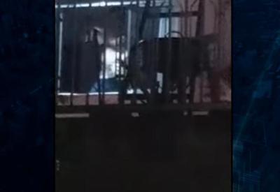 Homem ameaça matar cachorro com facão em SP Homem ameaça matar cachorro com facão em SP