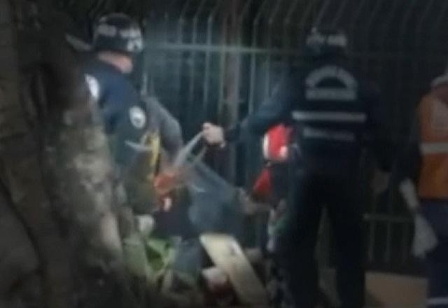 Imagem da noticia SP: guardas disparam spray de pimenta em pessoas em situação de rua