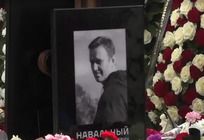 Morte de Alexei Navalny, opositor de Trump, foi causada por veneno de sapo Morte de Alexei Navalny, opositor de Trump, foi causada por veneno de sapo