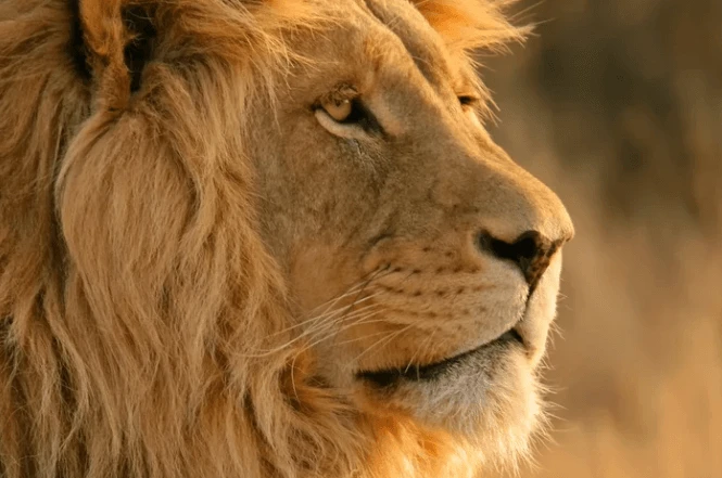 Imagem da noticia Quando começa a declaração do Imposto de Renda? Saiba como se preparar