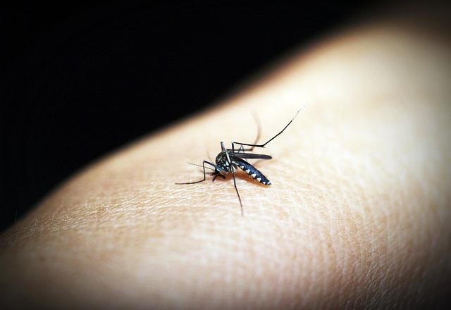 Imagem da noticia Governo federal reconhece situação de emergência por dengue em Goiás