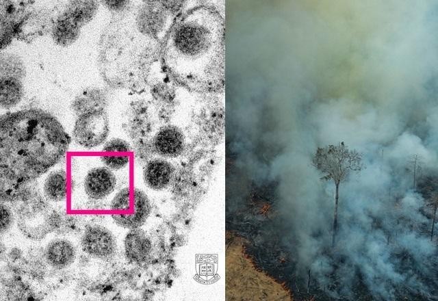 Imagem da noticia Clima e vacina serão principais pautas internacionais em 2022