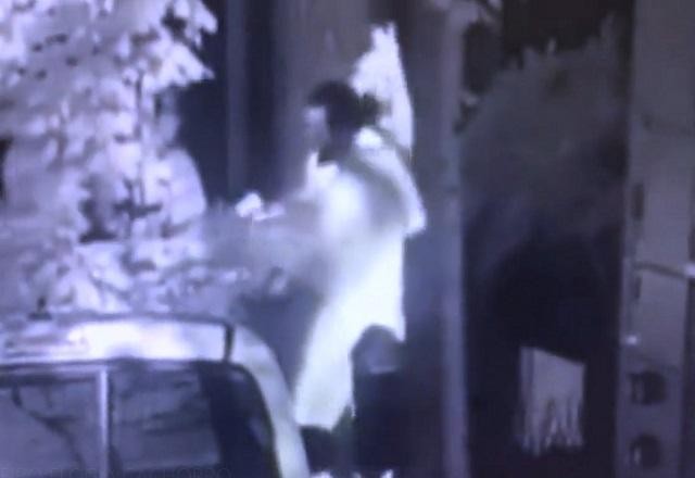 Imagem da noticia Norte-americano mata brasileiro após vítima elogiar cachorro