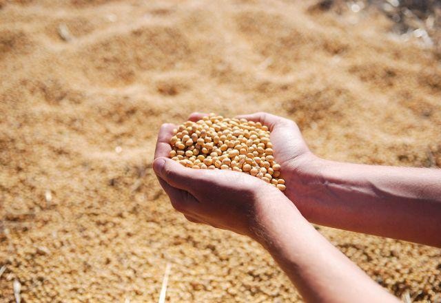 Imagem da noticia Plano Safra: R$ 340 bilhões para o agronegócio