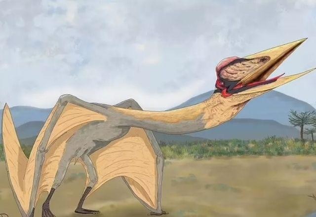 Imagem da noticia Dragão da Morte, antigo réptil voador, é descoberto na Argentina