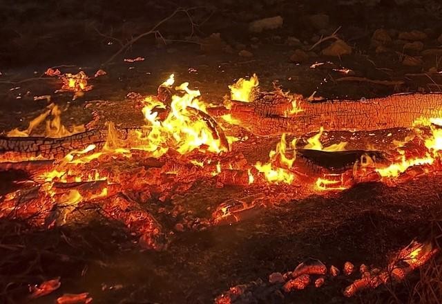 Imagem da noticia Incêndio no Havaí é o mais mortal dos EUA do século
