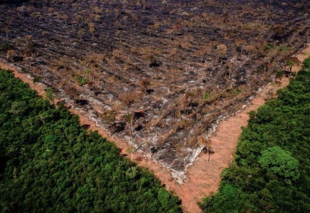 Imagem da noticia Floresta Amazônica registra o maior desmatamento em 15 anos