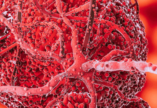 Imagem da noticia Impressora 3D pode produzir insulina para pacientes de diabetes tipo 1, diz estudo