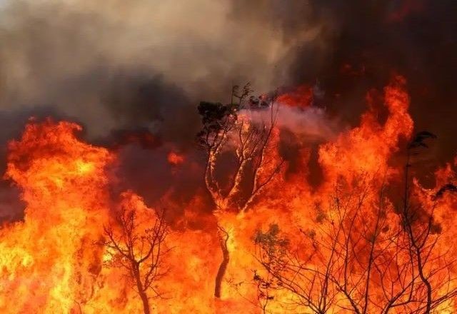 Imagem da noticia Incêndios florestais no DF: polícia prende, em uma semana, seis suspeitos de iniciar queimadas