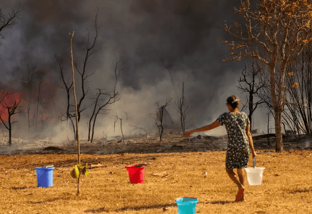 Imagem da noticia PF inicia operação de combate a incêndios florestais em 2025: "Medidas preventivas e repressivas"