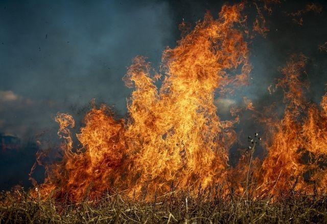 Imagem da noticia Número de incêndios florestais deve aumentar 50% até 2100, alerta ONU