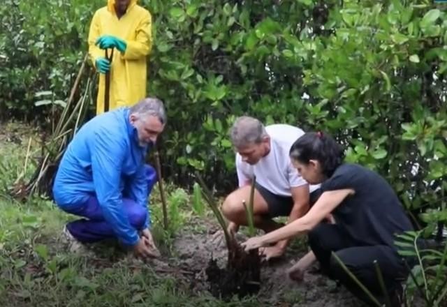 Imagem da noticia ONG quer formar criadores de conteúdo para falar sobre crise climática