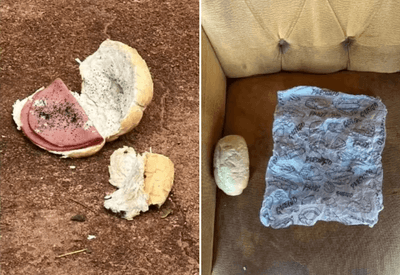 Jovem morre ao comer pão com mortadela envenenado; idoso é preso no MS Jovem morre ao comer pão com mortadela envenenado; idoso é preso no MS