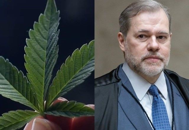 Imagem da noticia Descriminalização da maconha: entenda voto de Toffoli e próximos passos do julgamento no STF
