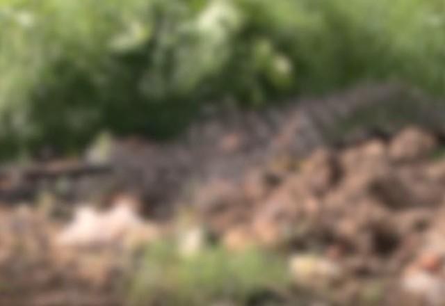 Imagem da noticia Corpo carbonizado é encontrado em meio a entulhos no Paraná