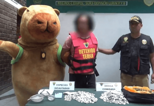 Imagem da noticia Vídeo: Policial fantasiado de capivara prende traficante no Peru