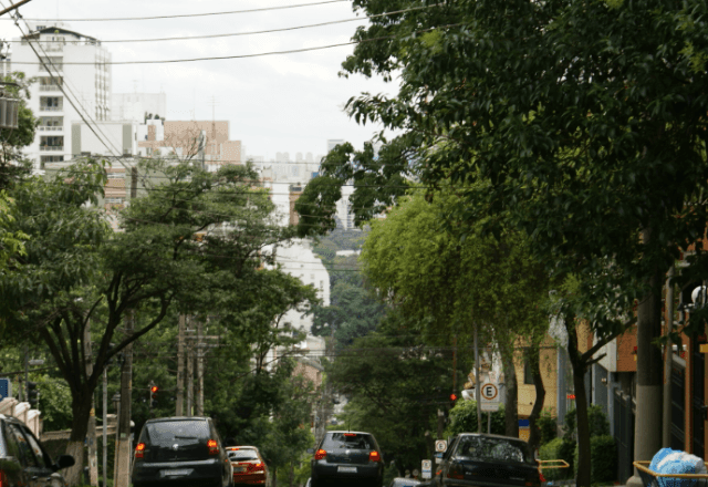Imagem da noticia SP pode mudar nome da rua Peixoto Gomide; político matou a filha em 1906