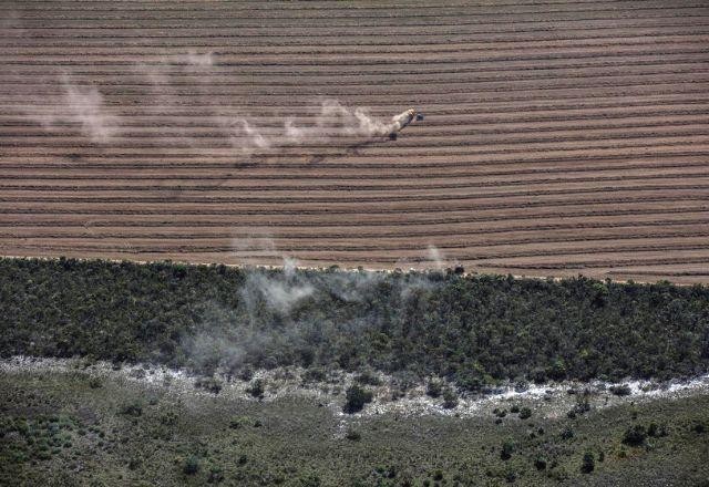 Imagem da noticia Desmatamento no Cerrado registra crescimento de 25% em um ano