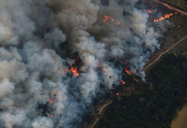 Imagem da noticia Número de queimadas no acumulado do ano é 80% superior ao registrado em 2021