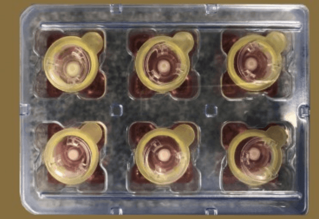 Imagem da noticia Pesquisadores brasileiros desenvolvem pele artificial 3D mais parecida com a humana