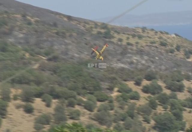 Imagem da noticia Vídeo: Avião que combatia incêndio florestal cai na Grécia