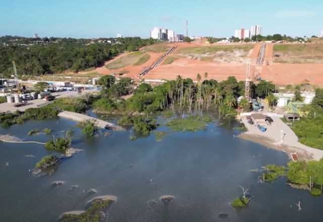 Imagem da noticia Morte de peixes não teve relação com acidente em mina da Braskem em Maceió