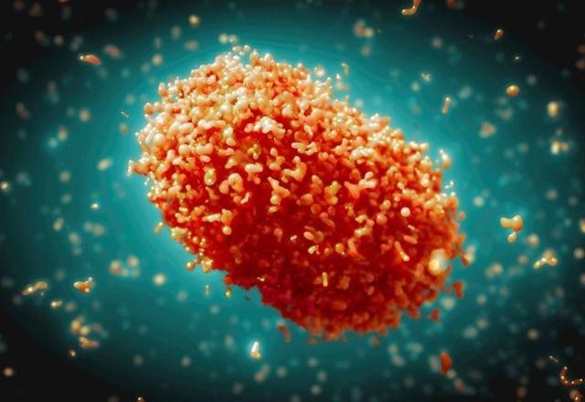 Imagem da noticia Mpox deixa de ser classificada como emergência de saúde global pela OMS