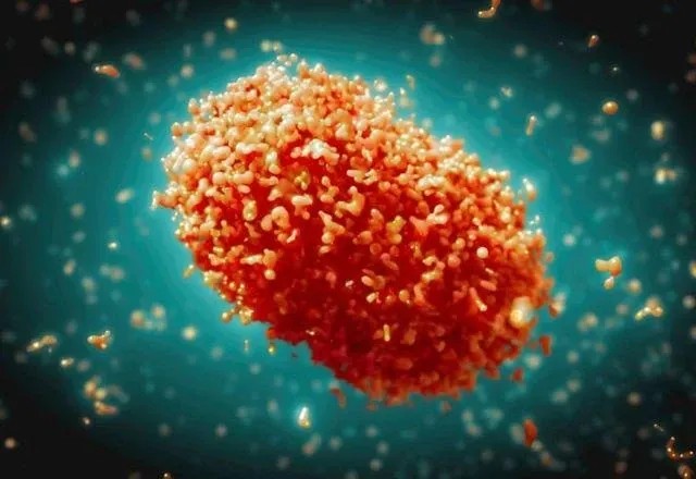 Imagem da noticia Estados Unidos registram primeiro caso de nova cepa da Mpox