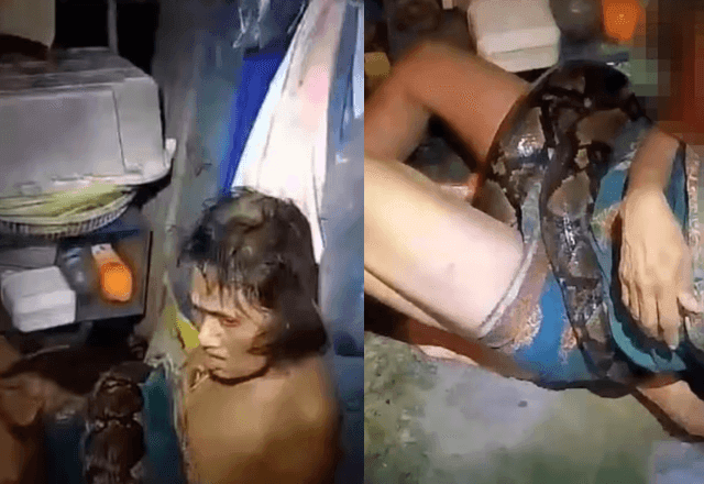 Imagem da noticia VÍDEO: Mulher passa mais de duas horas estrangulada por cobra de 20 quilos na Tailândia