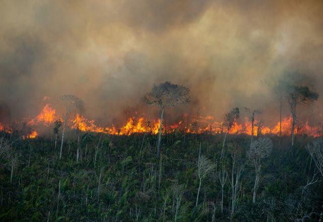 Imagem da noticia Projeto do Distrito Federal utiliza IA para detectar incêndios no Cerrado
