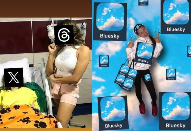 Imagem da noticia "Adeus, Twitter!": Intimação do STF a Musk rende bom humor, dicas e vários memes