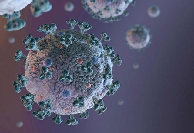 Imagem da noticia Ômicron pode ser mais contagiosa por ter 'copiado' vírus do resfriado