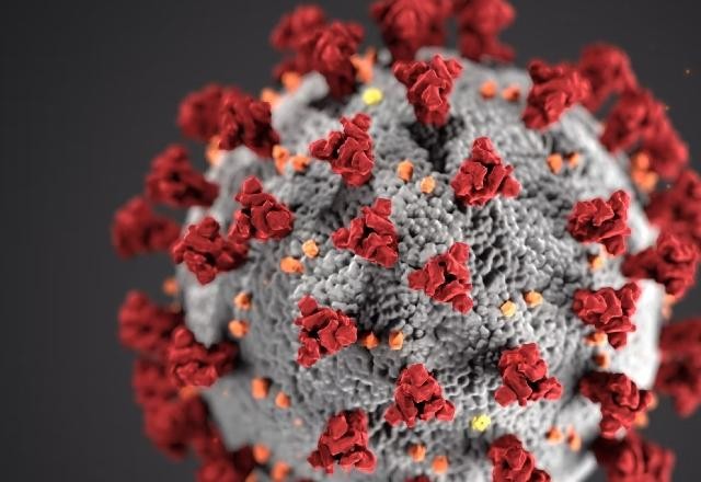 Imagem da noticia Mais de 50 países detectam linhagem BA.2 da variante ômicron