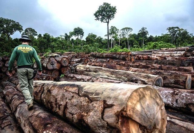 Imagem da noticia Floresta Amazônica registra 22% dos assassinatos de ambientalistas no mundo