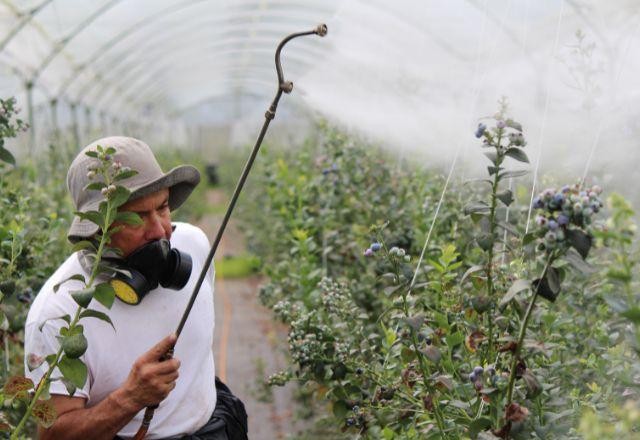 Imagem da noticia Após adiamento, Comissão do Senado vota hoje projeto dos agrotóxicos