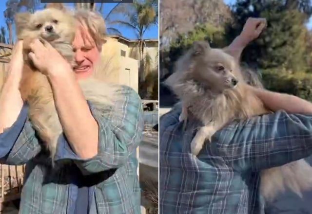 Imagem da noticia Vídeo: Homem reencontra cachorro perdido durante incêndios em Los Angeles