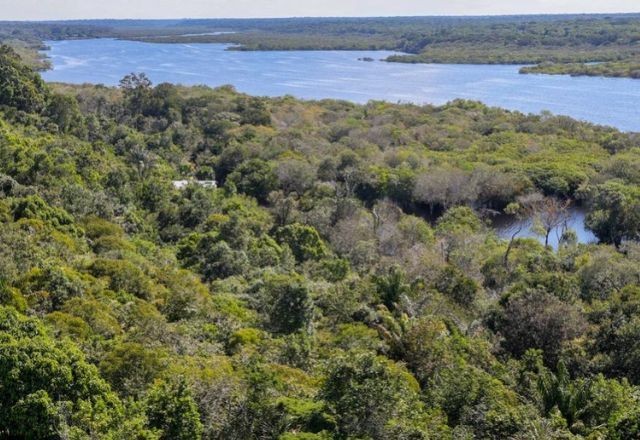 Imagem da noticia Questões ambientais ignoradas pelo G20 podem custar 18% do PIB global em 2050