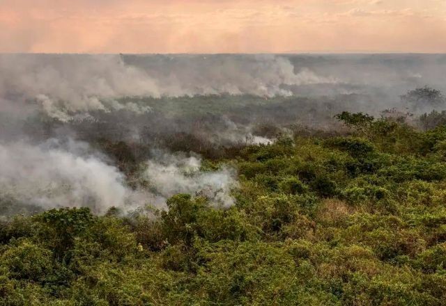 Imagem da noticia Pantanal poderá ter crise hídrica histórica em 2024, aponta estudo