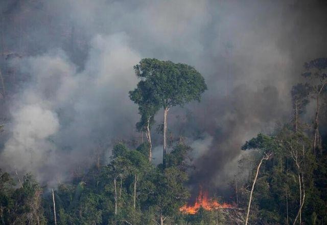 Imagem da noticia Queimadas em novembro quase dobram em relação ao ano passado