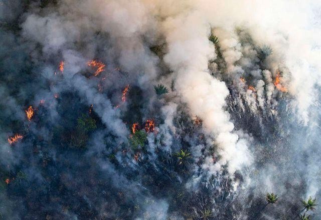 Imagem da noticia Amazônia registra recorde de queimadas em 24 horas, aponta Inpe