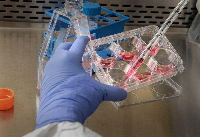 Imagem da noticia Governo amplia cota de isenção na importação de insumos para pesquisas