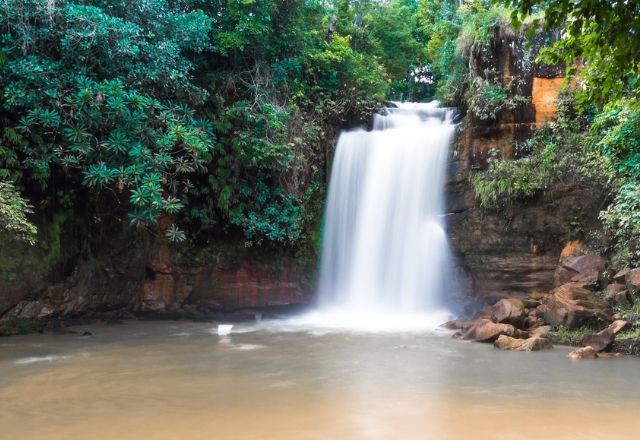 Imagem da noticia Governo retira duas florestas e 17 parques nacionais de programa de privatização