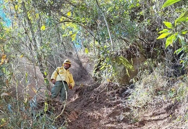 Imagem da noticia Parque Nacional do Itatiaia retoma visitação pública após incêndio