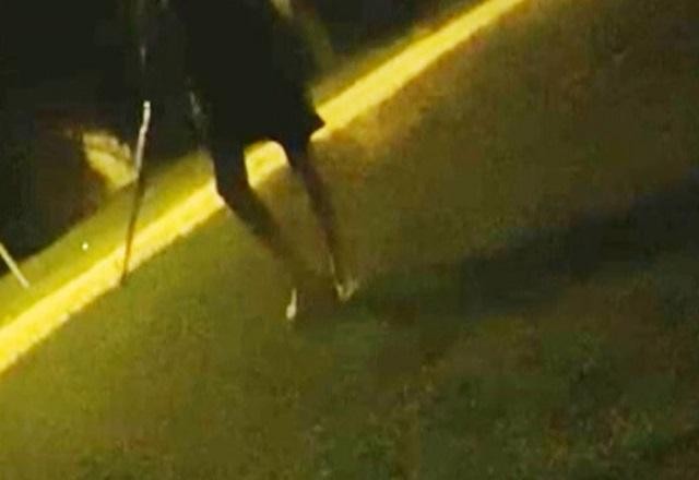 Imagem da noticia Idoso mata engenheiro que soltaria rojão durante festa