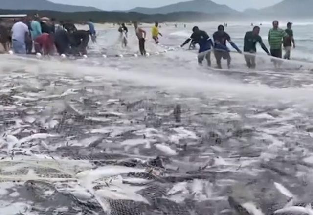 Imagem da noticia Atraso dos dias frios afeta a pesca da tainha em Florianópolis (SC)