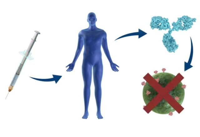 Imagem da noticia Vacina contra a Aids gera anticorpos em testes com humanos