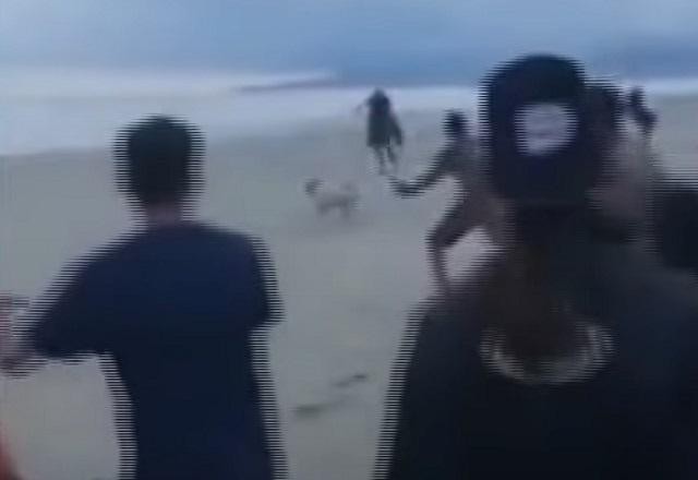 Imagem da noticia Corrida entre cavalos e motos mata cachorro e deixa mulher ferida