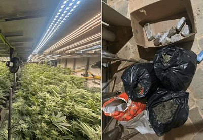 SP: Polícia descobre plantação de maconha em prédio na Grande São Paulo SP: Polícia descobre plantação de maconha em prédio na Grande São Paulo